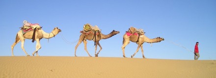 camel slide