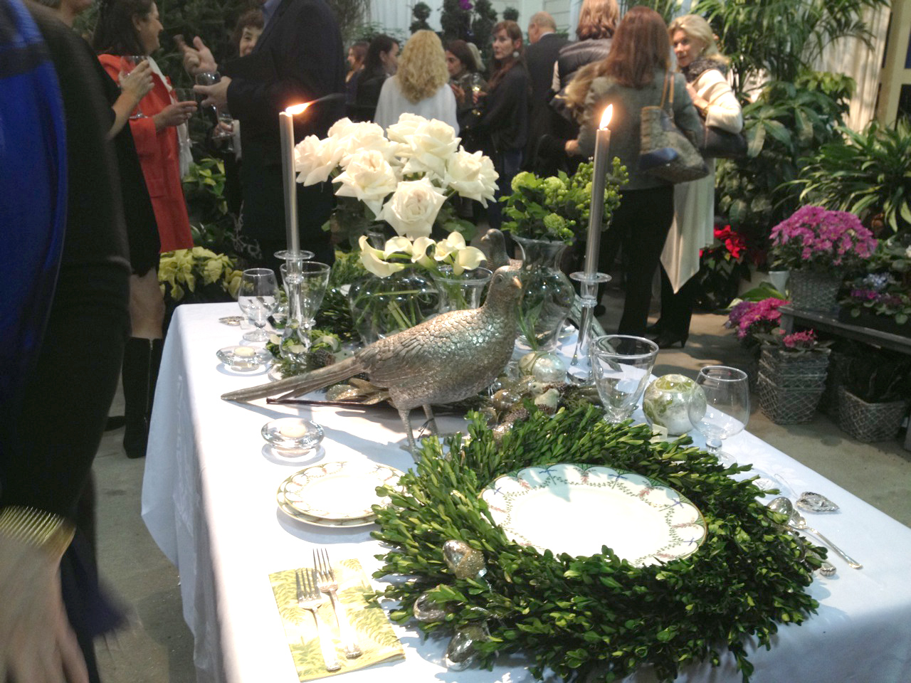 230_birdTable_IMG_0751